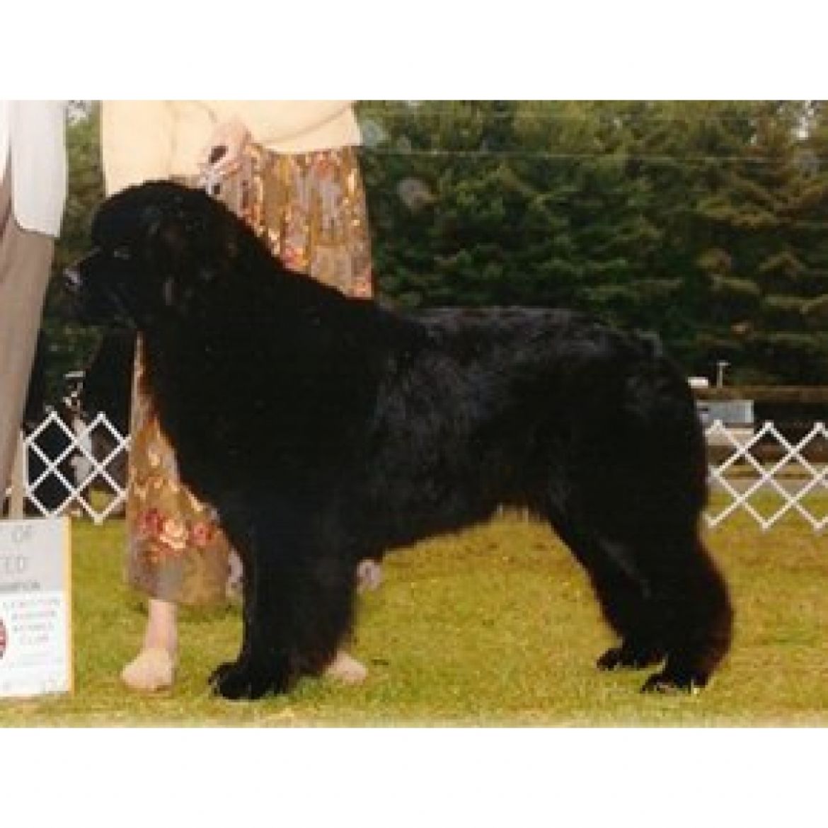R Bacchanals Capt of Brchbark (11-01-1998)